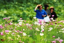 절기상 백로, 가을을 느끼며