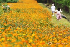 가을 정취 느끼며