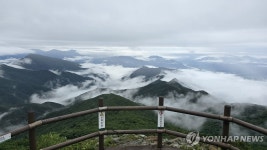 구름·안개 자욱한 지리산 노고단