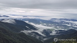 구름 낀 지리산 노고단