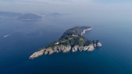 결혼·휴양 테마섬 개발 거제 지심도서 첫 리마인드 웨딩