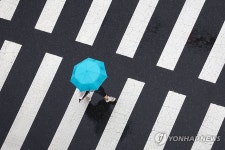 횡단보도 위 우산