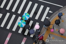 횡단보도 위 우산들