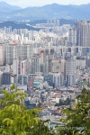 강남3구·용산구 토허구역 1년3개월 연장