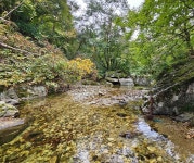 동해시, 소금길 1코스 정비 완료…가을 산행 오세요