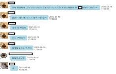 연애빙자에 노쇼사기까지…태국 거점 '龍형님파' 25명 검거