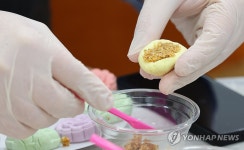 투박한 손으로 빚는 꽃 송편