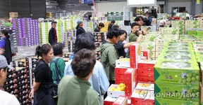 과일 살펴보는 상인들