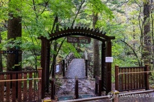 오대산, 4.2㎞ 순환형 탐방로 조성…새 천년 숲길 열다