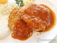 휴게소 돈가스, 4년새 25% 비싸져…비빔밥·국밥도 크게 올라