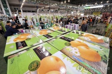 한가위 명절 앞두고 분주한 도매시장