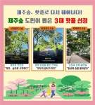 제주 번영로·신대로·연북로 도시숲, 제주숲 핫플 선정