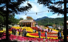 추석연휴 인제 가을꽃 축제 18만명 방문…볼거리·먹거리 풍성