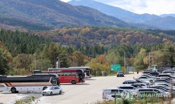 단풍 관광 차량 몰린 대관령