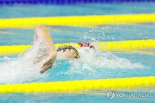 전국체전 계영 800m 출전한 김우민