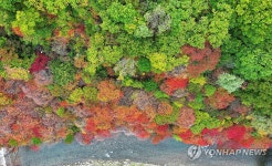 깜짝 추위에 짙게 물든 철암 단풍