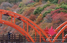 깜짝 추위에 짙게 물든 철암 단풍