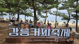 강릉커피축제에서 가장 맛있는 커피를 맛보자