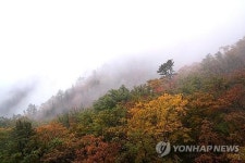 강원 대체로 흐림…오후 영서·산지엔 빗방울도
