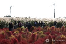 알록달록 하늘공원