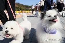 임실서 열린 펫투어
