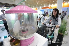 친환경 고양으로