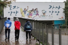 [걷고 싶은 길] 파도의 걸작 하조대 품은 해파랑길42코스