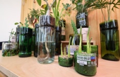 [걷고 싶은 길] 파도의 걸작 하조대 품은 해파랑길42코스