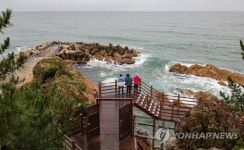 [걷고 싶은 길] 파도의 걸작 하조대 품은 해파랑길42코스