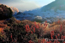 인제 비밀의 정원 서리 비경