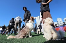 댕댕이 말고 탐지견