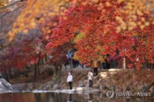 가을빛 짙은 순창 강천산군립공원