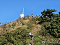 비양봉 정상으로