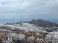 지리산 노고단에 핀 상고대