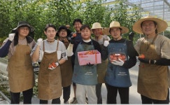 경남도, 청년농에 임대 후 분양 농지 공급…내년 밀양서 시작
