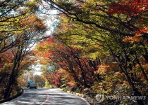 [줌in제주] 한라산 지나는 516·1100도로, 동서로 뻗은 번영·평화로