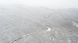 [줌in제주] 한라산 지나는 516·1100도로, 동서로 뻗은 번영·평화로