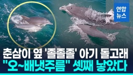 춘삼이매점 | [영상] 돌고래쇼 하던 25살 '춘삼이' 또 출산…고향 돌아간후 세번째