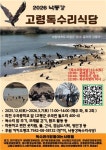 경북 고령 낙동강서 독수리 식당 운영…먹이 약 5천kg 공급