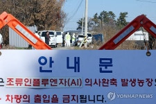 전남 영암 오리농가 조류인플루엔자 발생