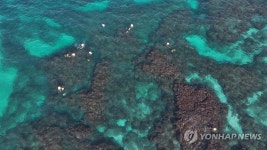 주식회사해녀삼춘어업회사법인 | 해녀들의 겨울 조업