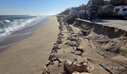 해안침식으로 몸살 앓는 연곡해변