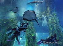 산타 공연하는 롯데월드 아쿠아리움