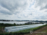 대구 삼덕동 농장 비닐하우스 화재…2명 사망