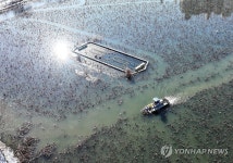 광주 북구, 양산호수공원 수초 제거