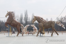 월드컵공원에 나타난 억새말 형제