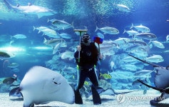 새해 맞아 깨끗하게