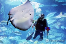 새해 맞아 깨끗하게