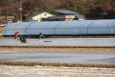논에 물 가둬 만든 얼음 썰매장