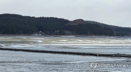 동장군 맹위에 바다도 '꽁꽁'